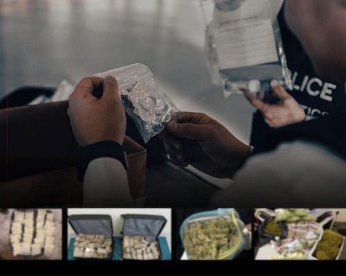 3 тэрбум 784 сая төгрөгийн үнэлгээтэй 15 төрлийн мансууруулах эм хураан авчээ